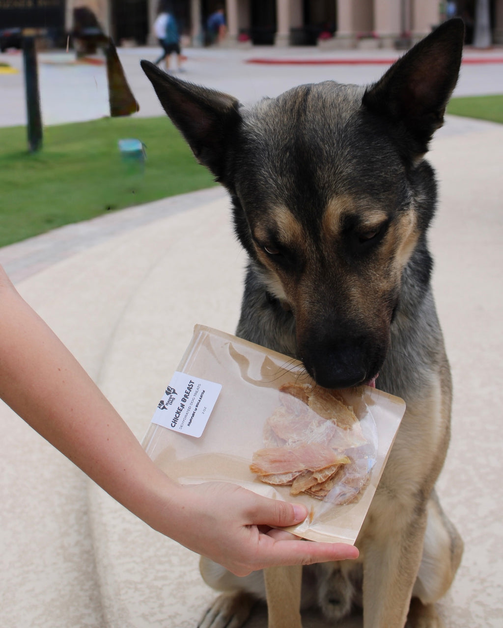 Gently Dehydrated Chicken Breast